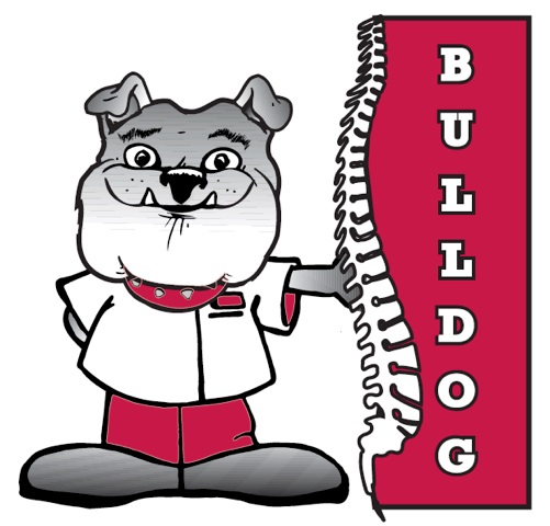 newbulldog (1)
